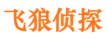 江都市私家侦探